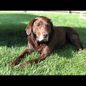 Meet your Posher, Kara